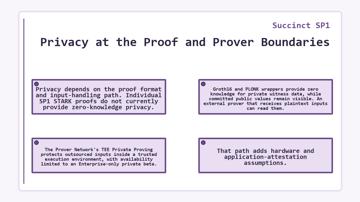 Privacy at the Proof and Prover Boundaries (Succinct SP1)